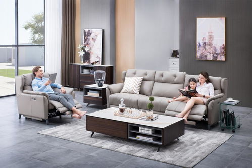 芝華仕 頭等艙榮膺中國500最具價值品牌